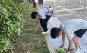 金瓶梅
北校区61期团校实践活动